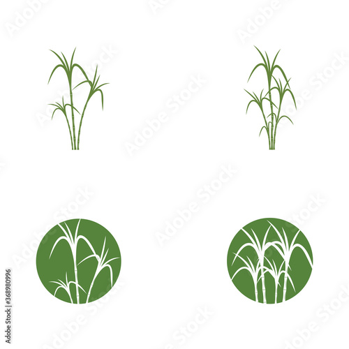 Sugar cane Logo Template vector symbol