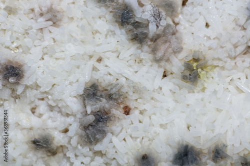 rot cooked rice 