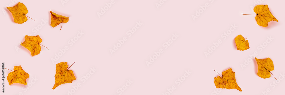 Autumn web banner. Pink background with orange dry leaves. Flat lay, top view, copy space.