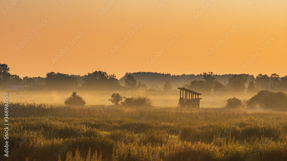 Narew National Park in Poland at sunrise. Stunning landscape with amazing mist over the Narew river. Narwianski Park Narodowy