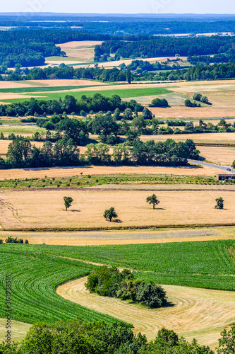 field at the european alps