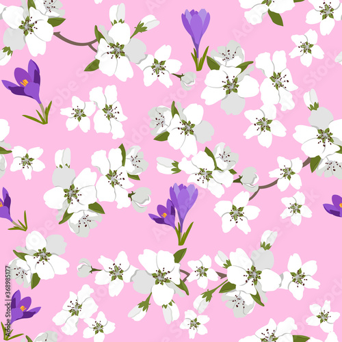 Seamless vector illustration with blooming cherry and crocus
