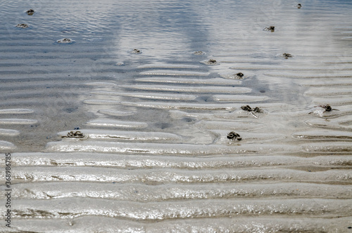 Sandy mudflat of a Baltic Sea at a low tide. Großenbrode, Schleswig-Holstein, Germany