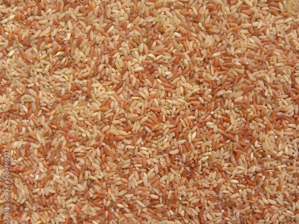 Red and white color raw whole Rajamudi rice