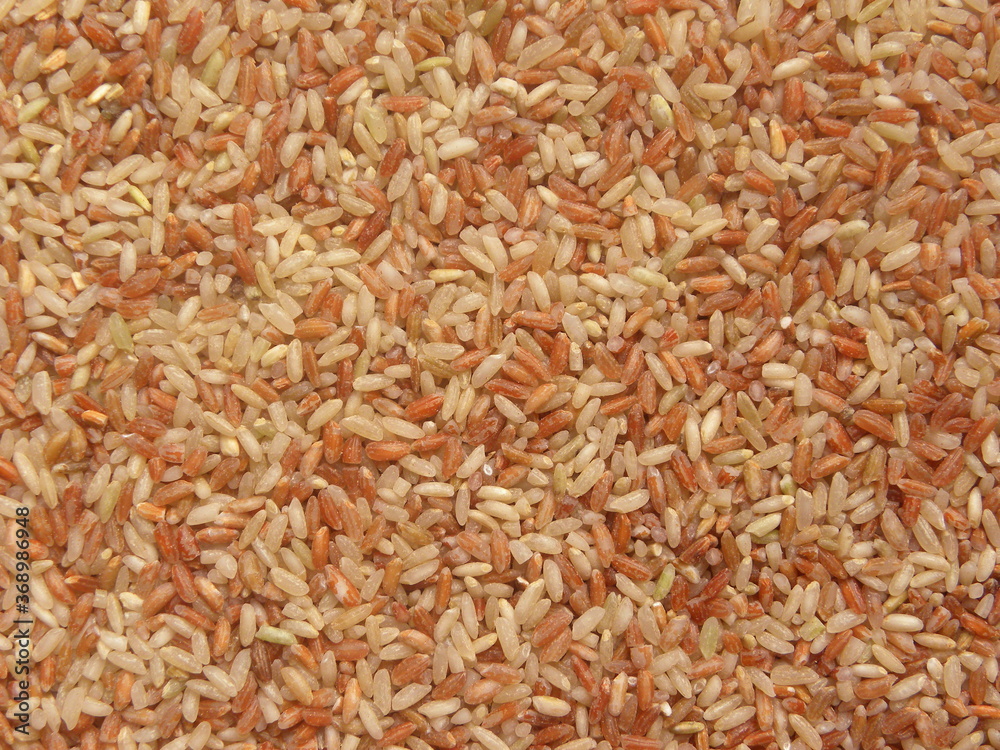 Red and white color raw whole Rajamudi rice Red and white color raw whole Rajamudi rice