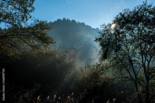 The Fantastic and Mysterious tyndall effect sunlight come down at autumn forest.