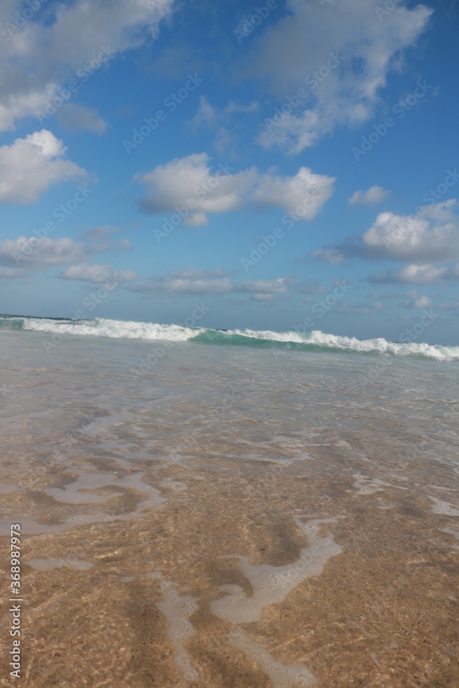 beach and sea