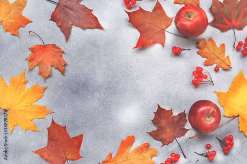 Autumn Background with leaves on a dark grey concrete background.