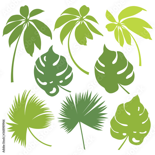 Tropical leaves isolated on white background. Set of green palm and monstera leaves. Vector illustration