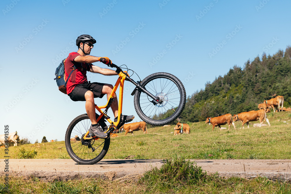 Obraz premium man doing a wheelie on a mountain bike