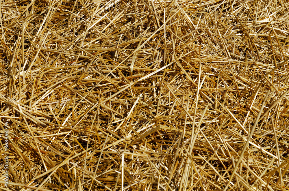 mown wheat yellow straw in a mess wonderful background mown wheat yellow straw in a mess wonderful background