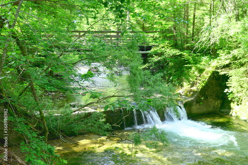 rapid in a creek, 