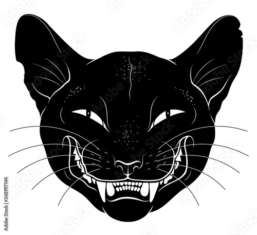 Smiling black cat