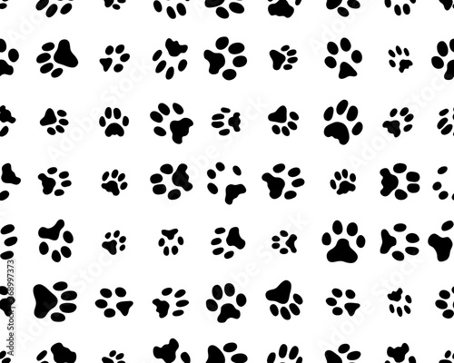 Seamless pattern with footprints of cats  on white background