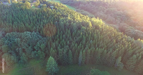 The most beautiful places in Lithuania from the air - Samogitia, Kalnalis. Observation tower in the forest. Summer evening. Long shadows - 1