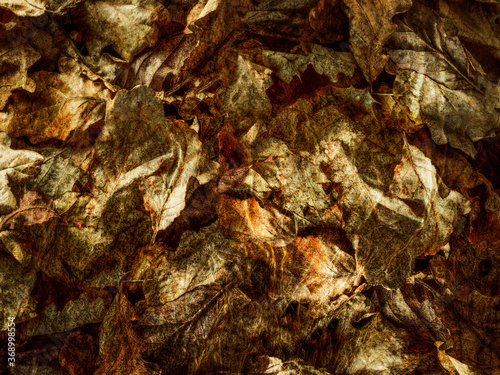 Rustic Autumn Leaves backround - 32