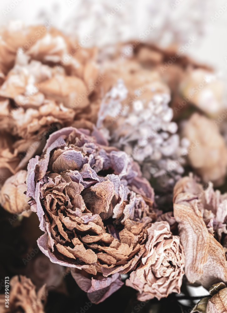 Obraz premium Dry bouquet