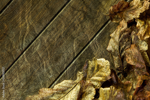 Rustic Autumn Leaves backround - 39