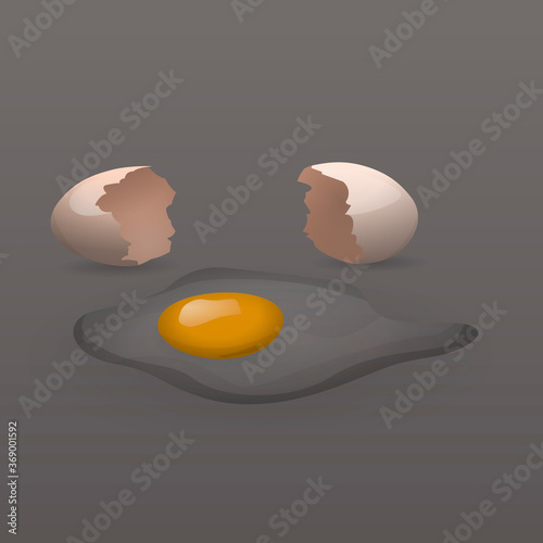 Broken egg realistic vector illustration. Raw broken egg - shell, yolk and white.