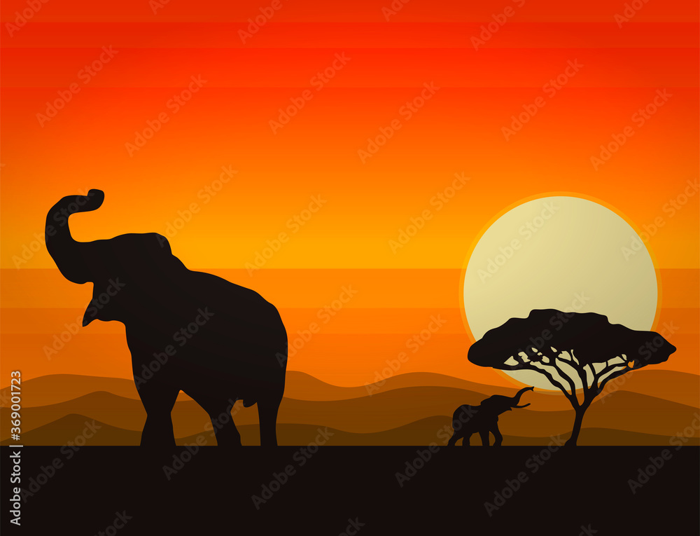 Elephant landscape vector illustration. Sunset and tree silhouette with elephant.