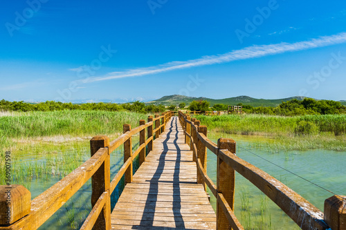 Fototapeta Naklejka Na Ścianę i Meble -  Wooden path in nature park Vrana lake (Vransko jezero), Dalmatia, Croatia, beautiful tourist destination