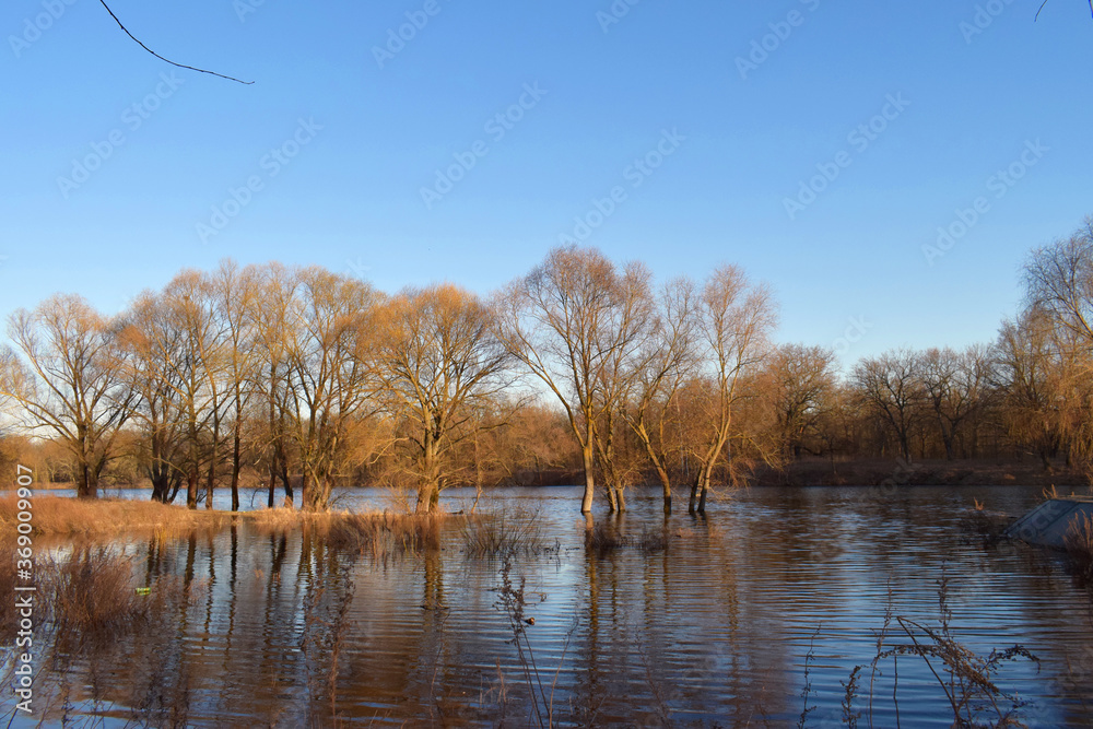 In Belarus outside the city flooded fields with trees