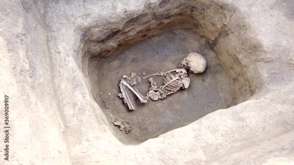 Archaeological excavations. Human remains, bones of skeleton and skulls of 6 year old child in the ground tomb. Archaeological excavations. Human remains, bones of skeleton and skulls of 6 year old child in the ground tomb.