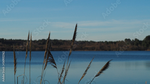 Bord d'un lac pendant un temps ensoleillé © Anthony