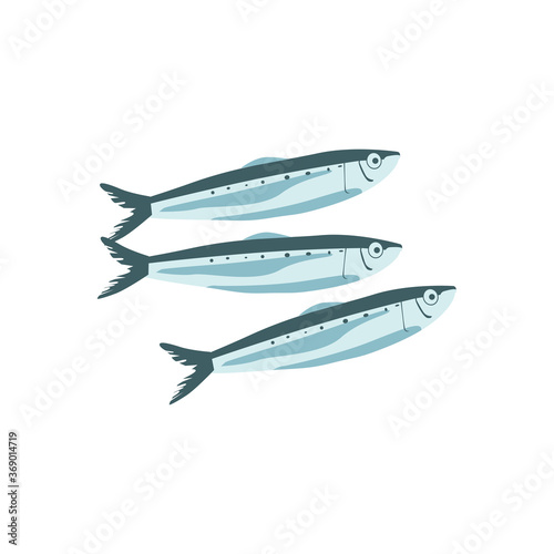 Commercial fish species set. Sprat, herring, sardine, anchovy or saury fresh marine fishes, seafood menu, fish market design cartoon vector illustration isolated on white background