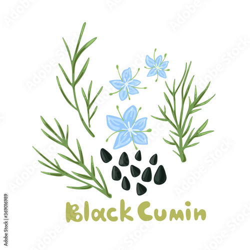 Nigella sativa. Black cumin plant, flowers, branches, seed. Spices and herbs. Floral design with black caraway and title. Cute flat style for textile design, fabric, home decor, shop website. photo