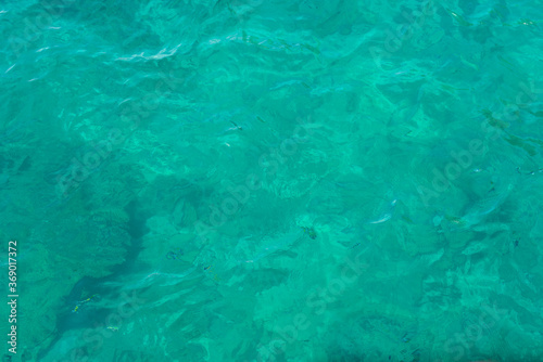 Fototapeta Naklejka Na Ścianę i Meble -  Portrait of clear blue sea as abstract background