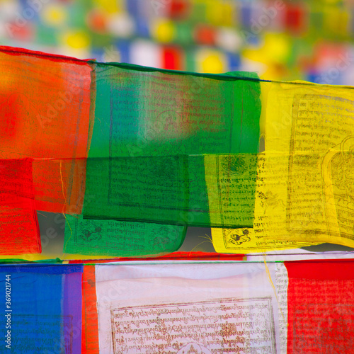 Buddhist praying flags in Lumbini, Nepal photo