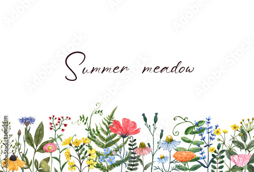 Colorful summer meadow illustration. Watercolor wildflowers border. Horizonta...