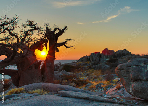 Sunrise with Baobab trees on a rocky outcrop, Kubu Island, Botswana photo