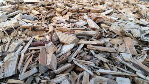 wood and wood chips - fuel for bio power plants