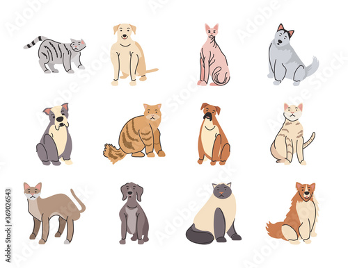set of pets, different breeds of dogs and cats