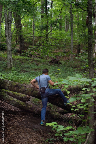 Man hiking through the forest, crosses the logs of fallen trees on the road