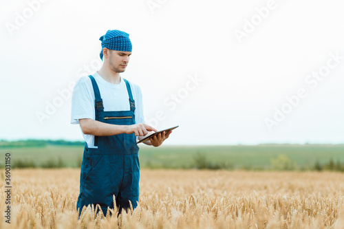 Farmer writing in his tablet while he is standing in the middle of a beautiful wheat field. © Ion