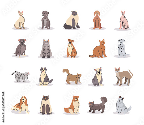 set of pets, different breeds of dogs and cats