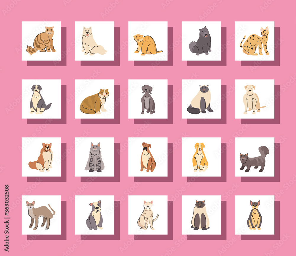 set of pets, different breeds of dogs and cats set of pets, different breeds of dogs and cats