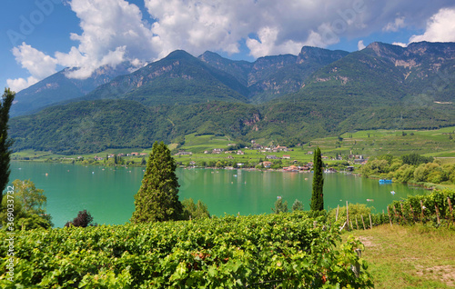 Kalterer See, Kaltern, Südtirol, Alto Adige, Tourismus, Baden, Überetsch, Italien photo