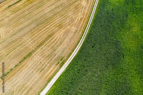 Aerial view of fields photo