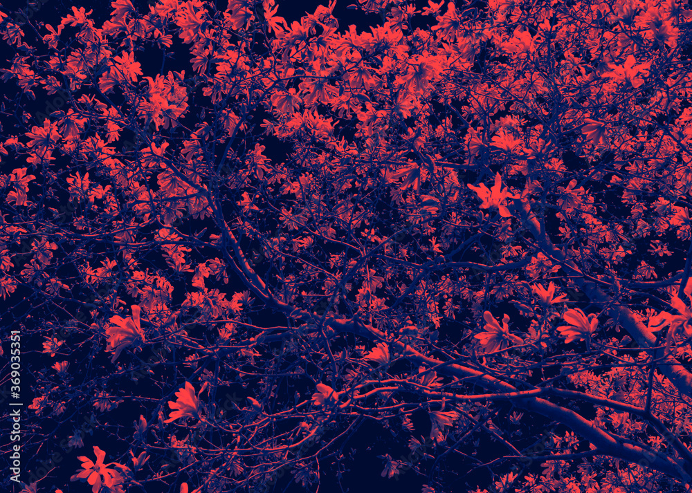 Floral pattern with flowers blooming on twisted tree branches with red and blue duotone effect