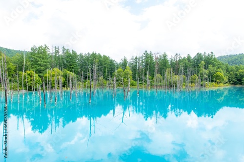 日本，北海道，美瑛，青い池