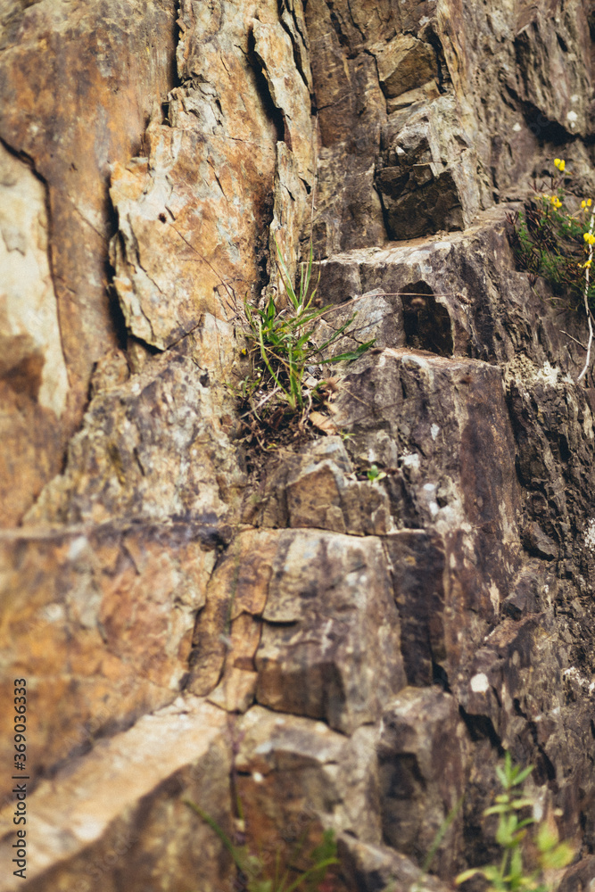 Rocky cliff texture