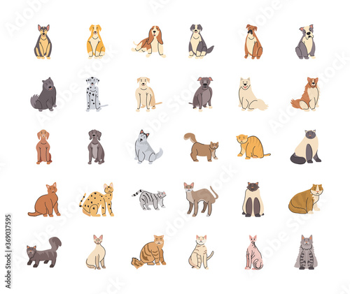 set of pets, different breeds of dogs and cats