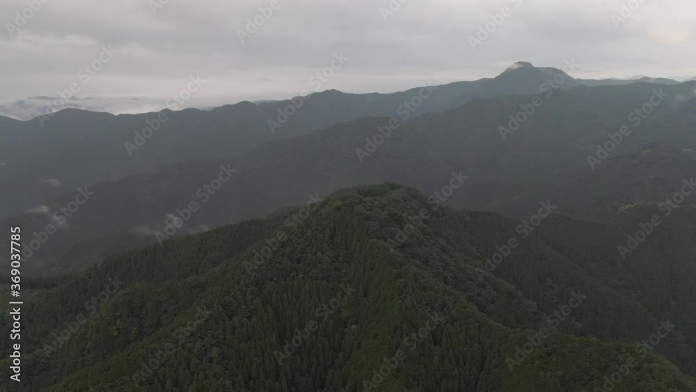 夏の早朝の山の緑と光 夏の早朝の山の緑と光