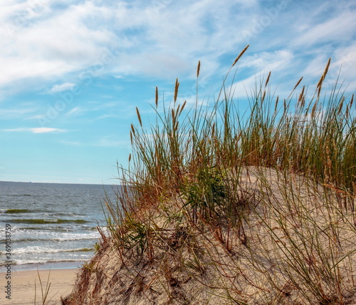 Sand dunes and grass