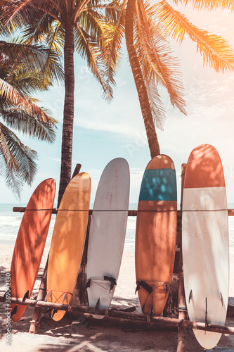 Fototapeta Naklejka Na Ścianę i Meble -  Surfboard and palm tree on beach background.