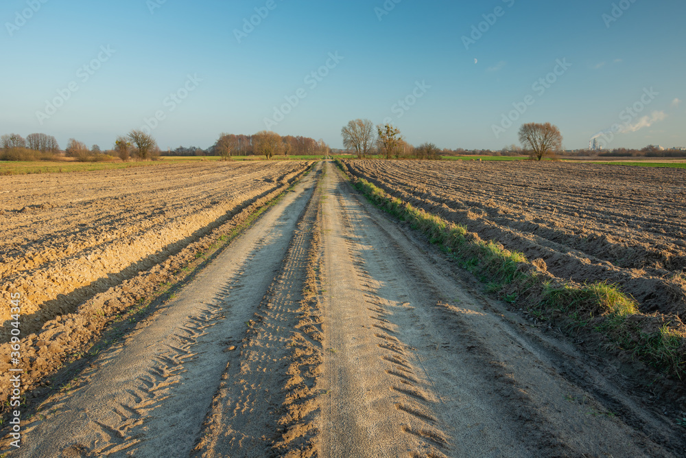 A dirt road through ploughed fields, horizon and cloudless sky